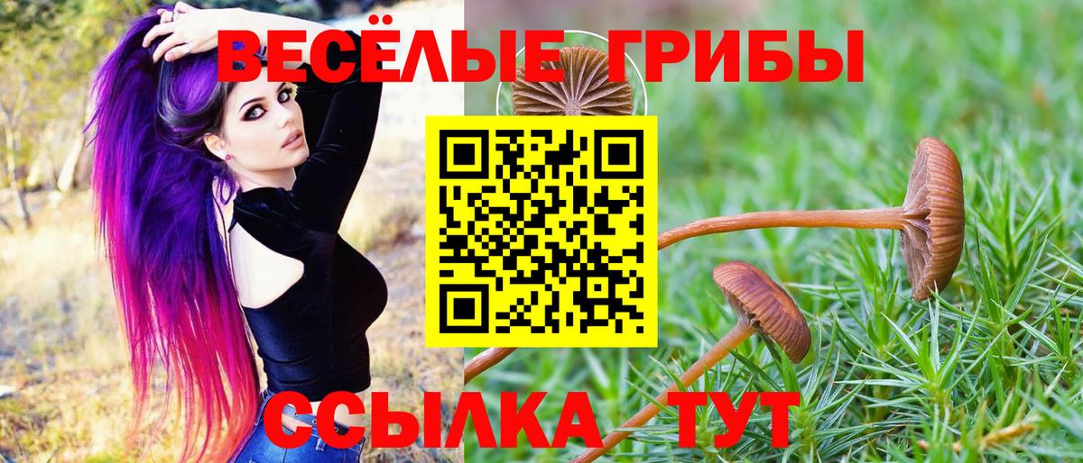 Павлово  Псилоцибиновые грибы мухоморы  Вход с VPN  Псилоцибиновые грибы мицелий 