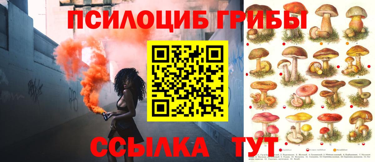 Галлюциногенные грибы мицелий Павлово